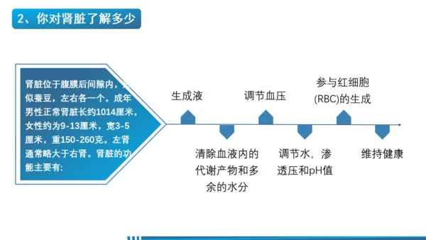 世界肾脏日肾病通用PPT课件医疗服务模板