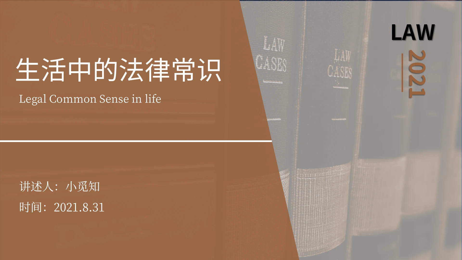 咖啡色棕色简约时尚商务生活中的法律常识培训生活中的法律常识 (2)