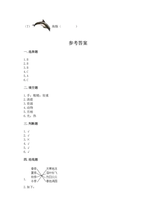 教科版二年级上册科学期末测试卷精品（基础题）.docx