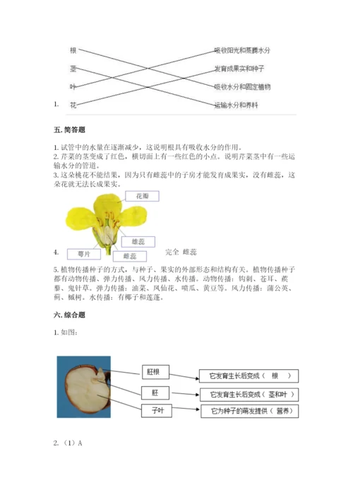 科学四年级下册第一单元植物的生长变化测试卷附答案【研优卷】.docx