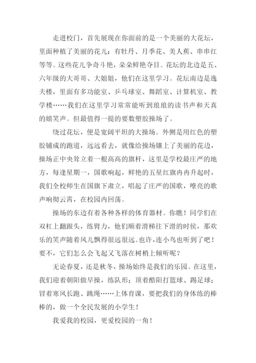 四年级作文公园一角.docx