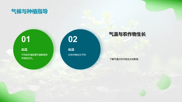 立春种植气候指南