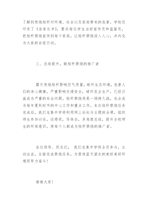 秸秆禁烧表态发言稿.docx