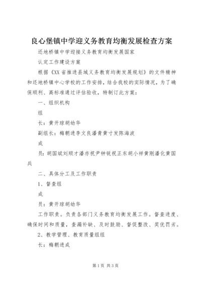 良心堡镇中学迎义务教育均衡发展检查方案 (2).docx