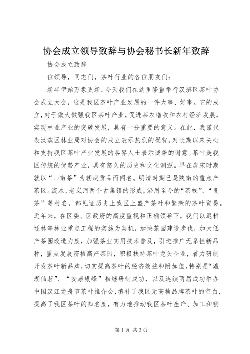 协会成立领导致辞与协会秘书长新年致辞 (2).docx