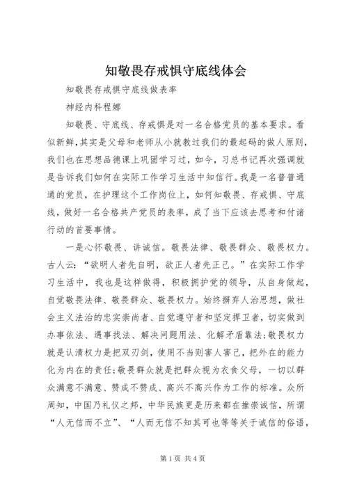 知敬畏存戒惧守底线体会.docx