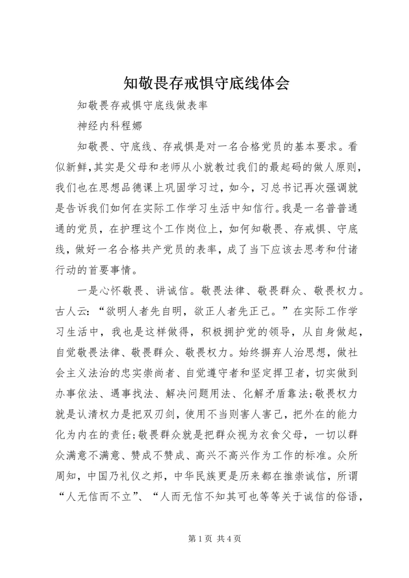 知敬畏存戒惧守底线体会.docx