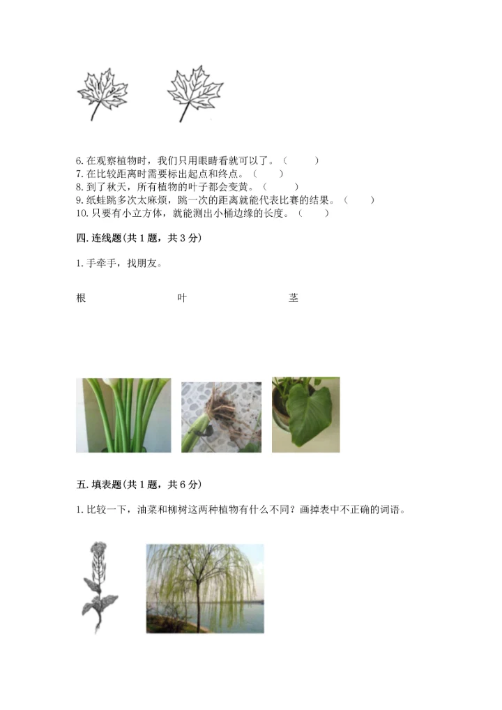 教科版一年级上册科学期末测试卷含答案（培优b卷）.docx
