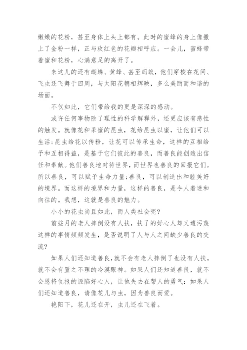 高二关于善良的议论文范文8篇精编.docx