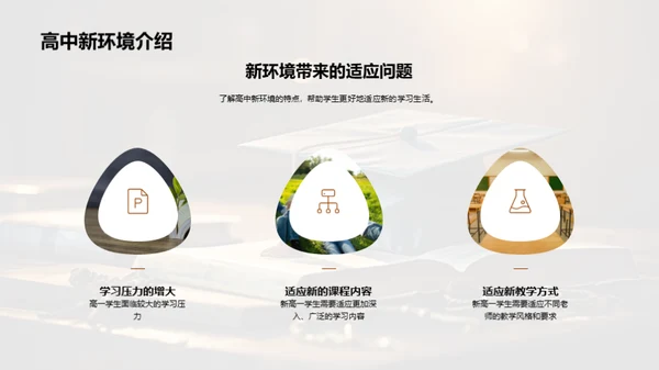 高中生涯指南