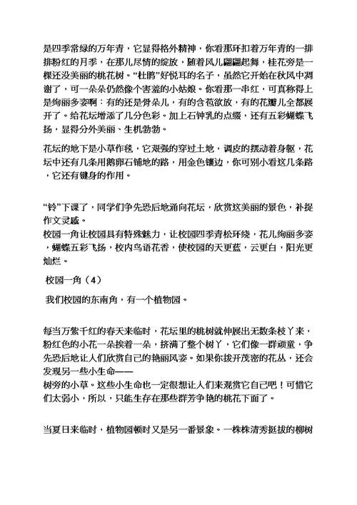 学校作文之英语作文描述校园一角