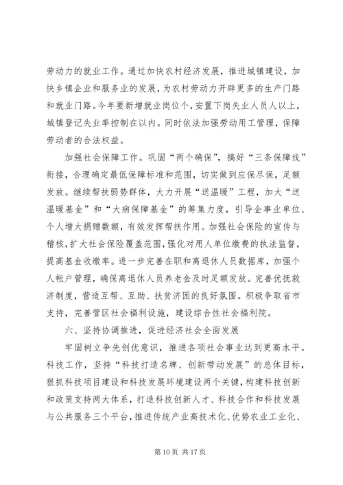 某某某某年经济社会工作计划.docx