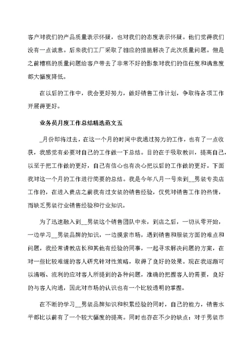 业务员月度工作总结精选范文