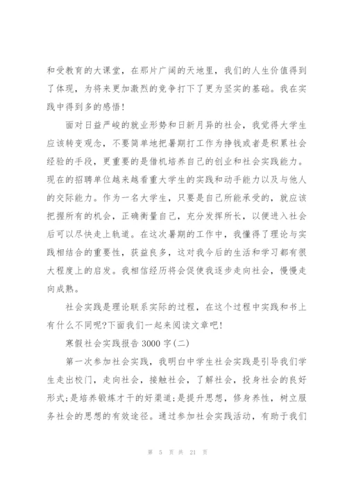 寒假社会实践报告3000字五篇.docx