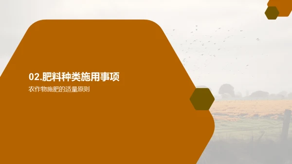3D风教育培训教学课件PPT模板