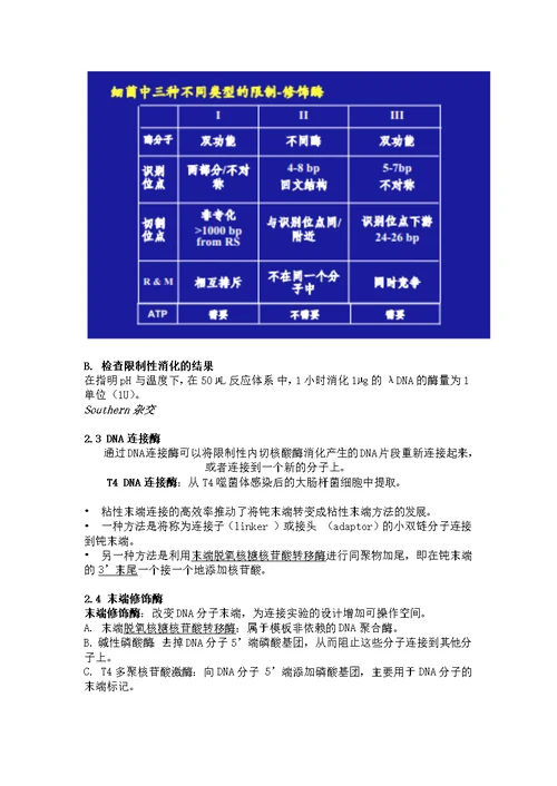 分子遗传学要点整理