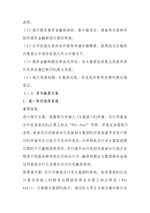 S集团国际业务服务专题方案.docx