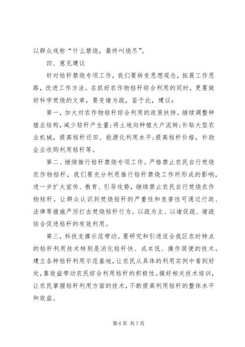 乡镇夏季秸秆禁烧和综合利用工作总结.docx