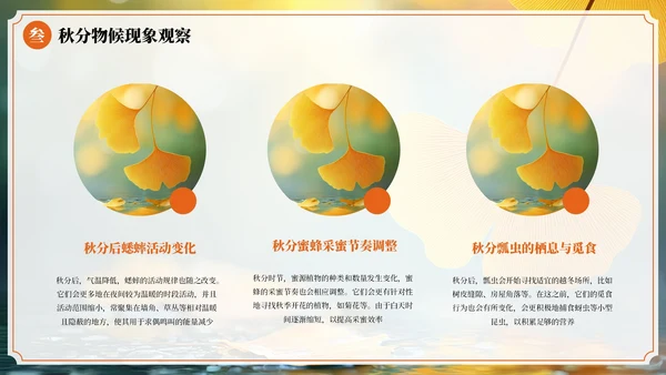 橙色中国风二十四节气秋分节气PPT模板