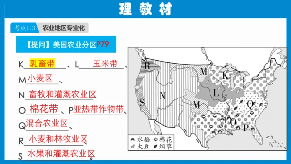 七下：美国、巴西（一轮复习课件30张） （人教版）