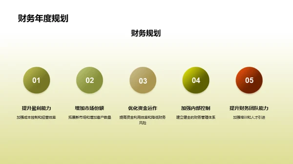 财务解析：20XX年度总结