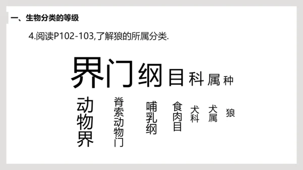 6.1.2+从种到界-【互动课堂】八年级生物上册精品课件（人教版）(共20张PPT)