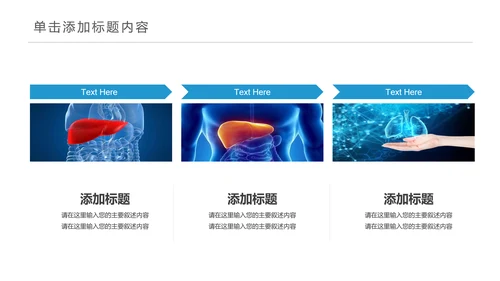 医疗医学人体肝脏解析ppt动态模板