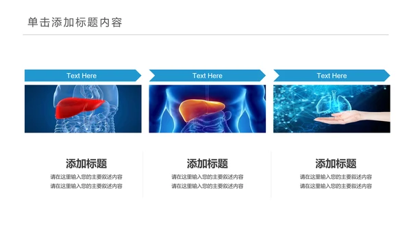 医疗医学人体肝脏解析ppt动态模板