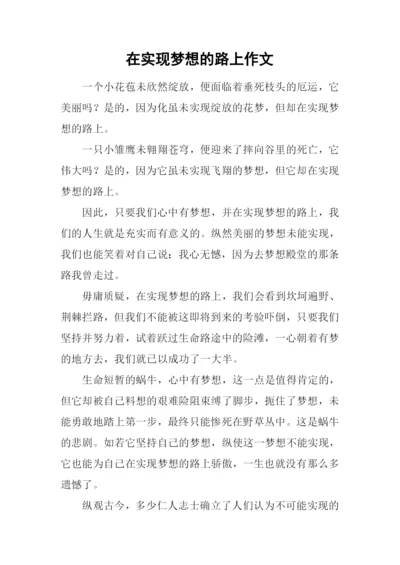 在实现梦想的路上作文.docx