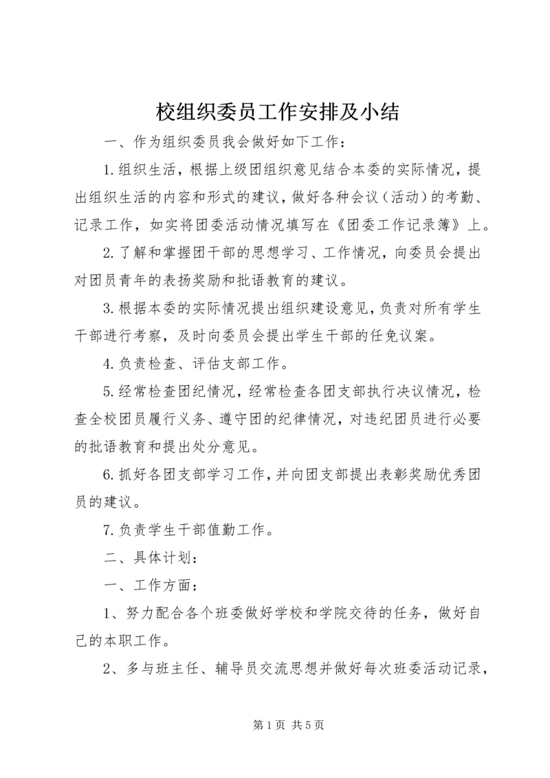 校组织委员工作安排及小结.docx