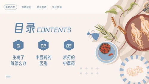 蓝色简约神奇中药草PPT模板宣传PPT动态PPT中医药