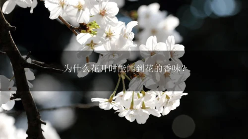 3.1分子和原子 第1课时 课件(共30张PPT内嵌视频)---2024--2025学年九年级化学人