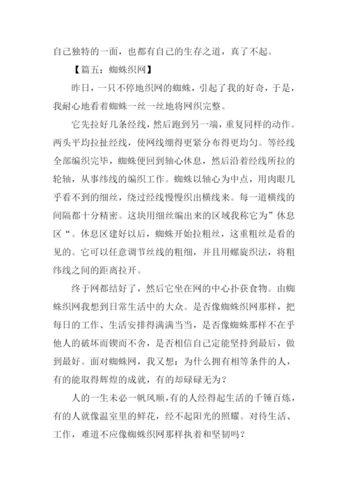 蜘蛛织网作文500字.docx