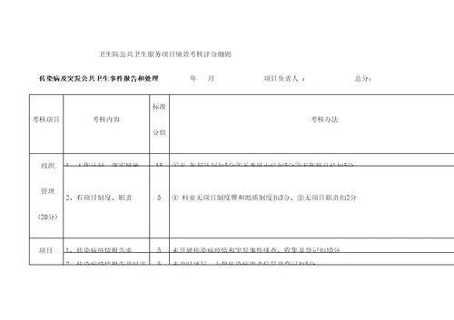 公卫项目绩效考核评分细则精选文档