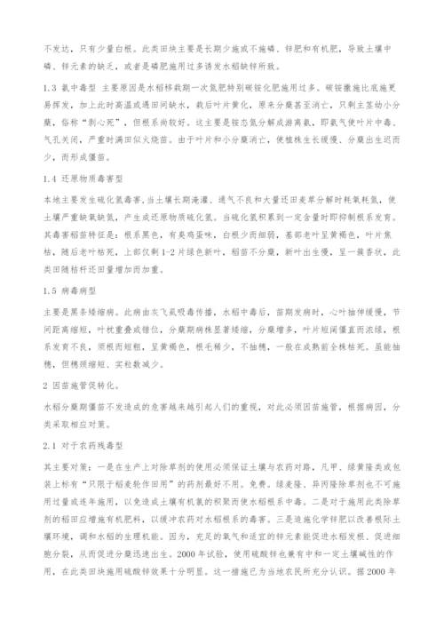 水稻僵苗原因及预防对策.docx