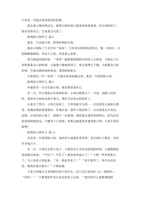 关于聪明的小狗作文锦集十篇.docx