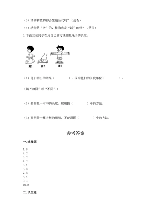 教科版一年级上册科学期末测试卷及完整答案（网校专用）.docx