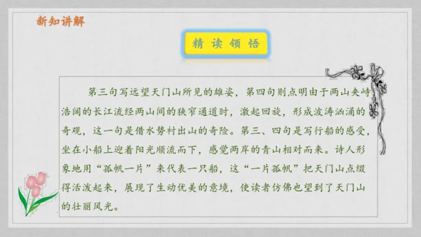 17课《古诗三首》《望天门山》《饮湖上初晴后雨》   课件
