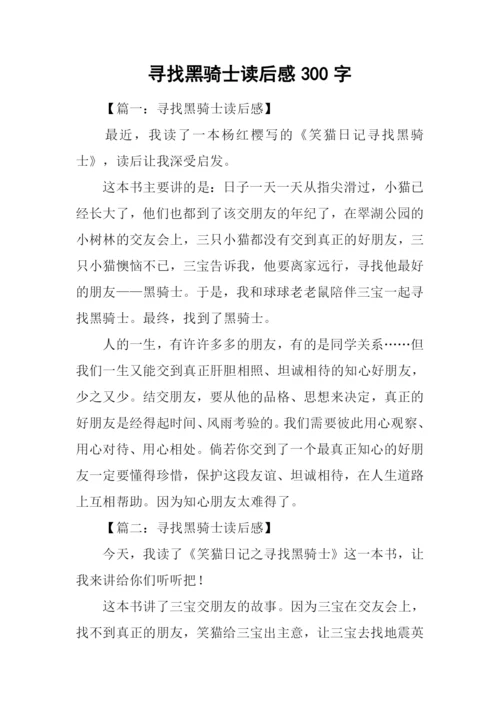 寻找黑骑士读后感300字.docx