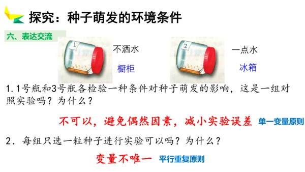 3.2.1 种子的萌发 2023-2024学年七年级生物上册精品教学课件（人教版）(共19张PPT)