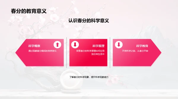 探秘春分奇观
