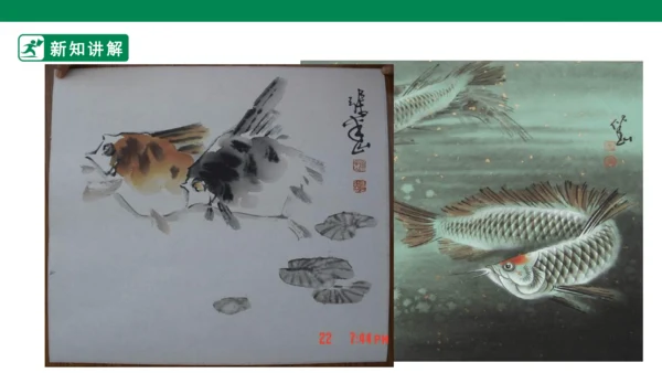 第九课《用彩墨画鱼》课件