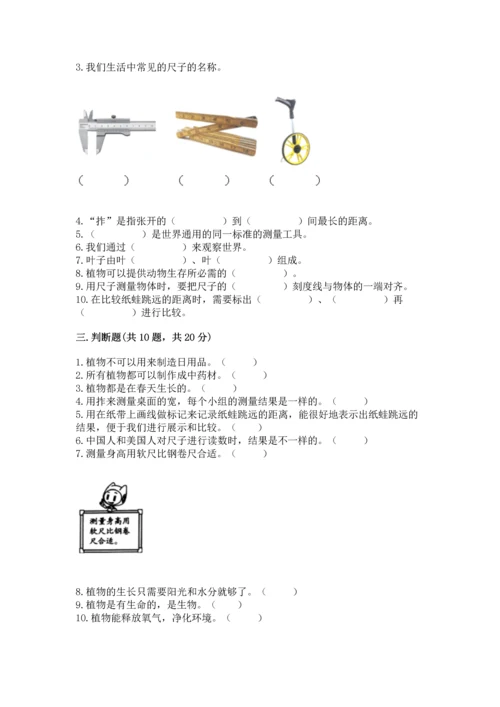 教科版一年级上册科学期末测试卷往年题考.docx