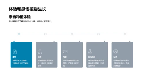 绿色生命的奥秘