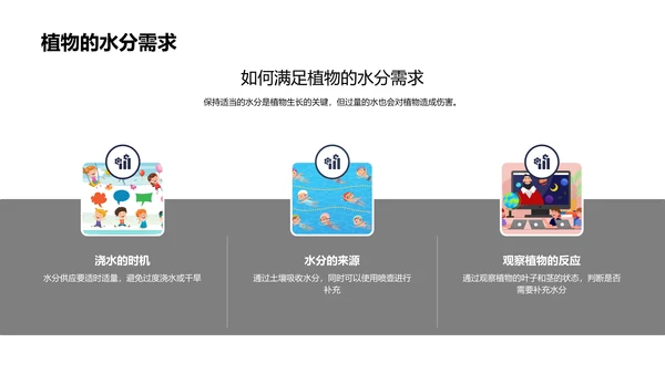 植物生长实验教学PPT模板