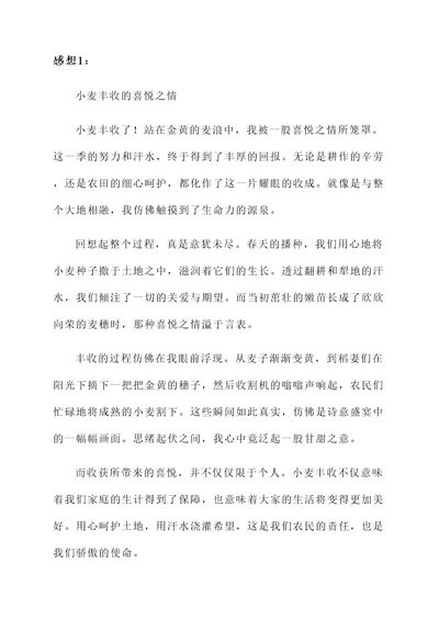 收小麦丰收的感想