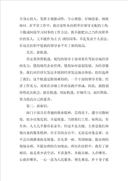 农村个人挂职工作总结优秀9篇
