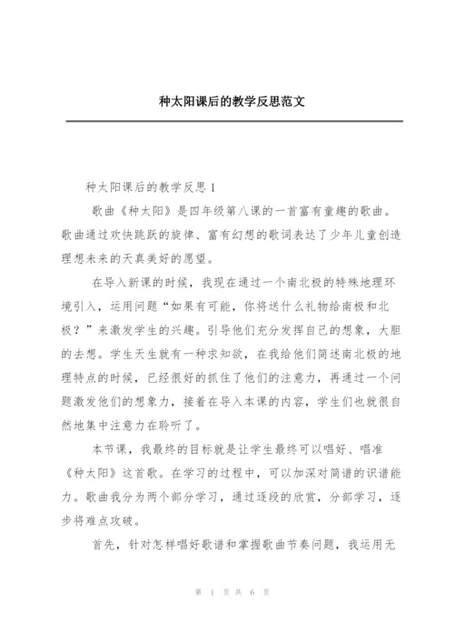 种太阳课后的教学反思范文.docx
