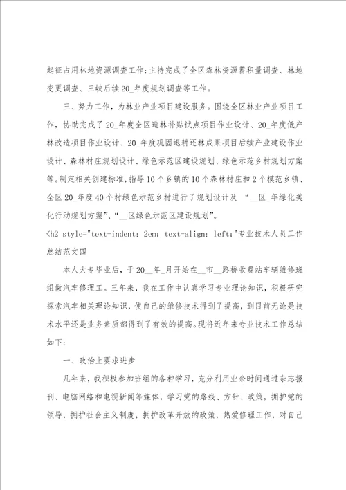 初级职称申报个人工作总结专业技术人员工作总结