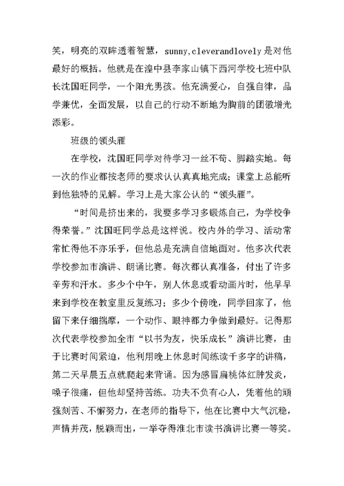 美丽少年事迹材料